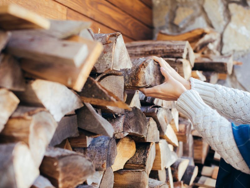 mejor leña para chimeneas
