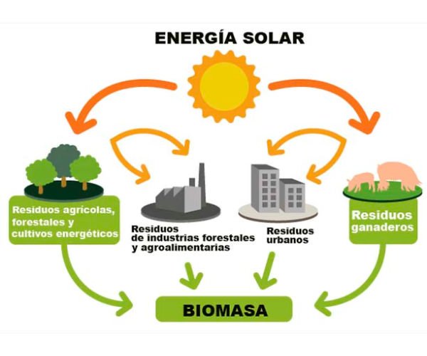 que es la biomasa